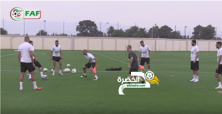 بلماضي على طريقة زين الدين زيدان