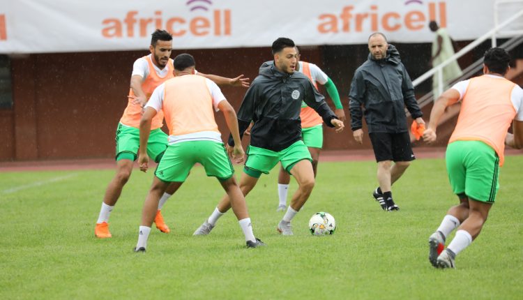 زطشي : بلماضي يستهدف ضم لاعبين جديدين