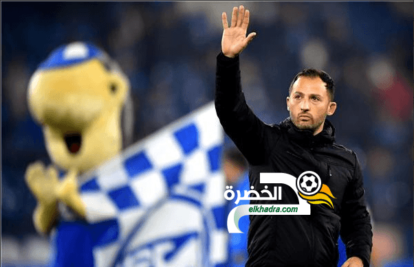 مدرب جديد لبن طالب في شالكه الألماني