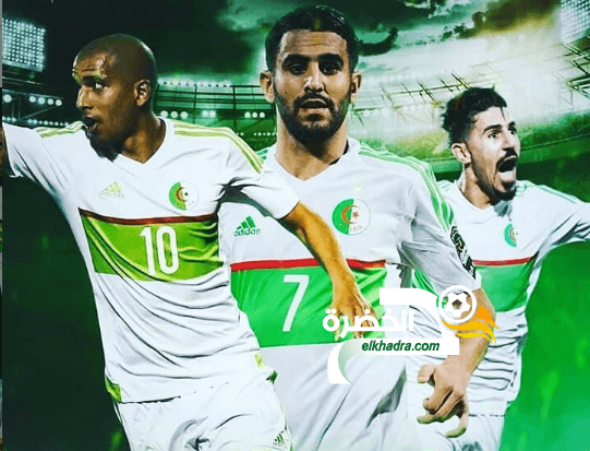 حصيلة وبطاقة لاعبي منتخب الجزائر قبل الكان 13