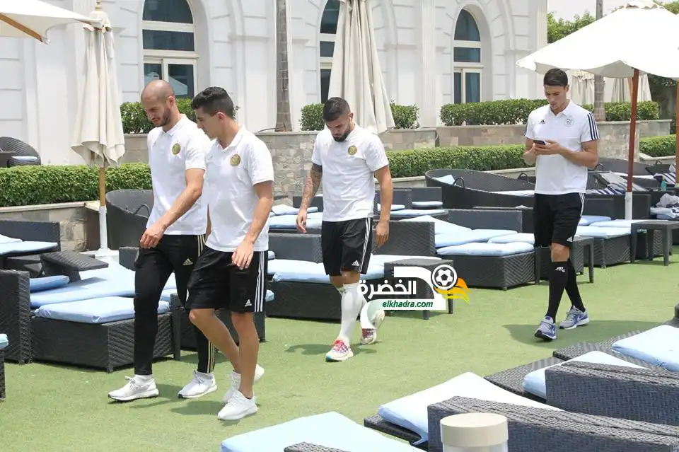 الجزائر – نيجيريا: خطوة واحدة عن النهائي