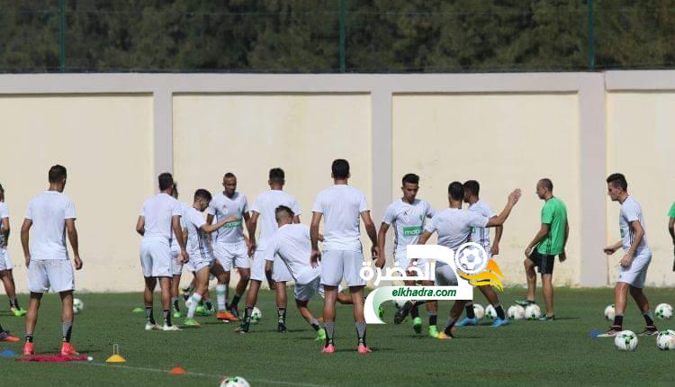 جمال بلماضي ينسحب من تدريب المنتخب الوطني المحلي