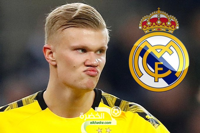 “ماركا” : هالاند الصفقة الأفضل لتدعيم هجوم ريال مدريد