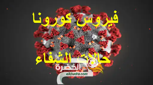 كورونا في الجزائر : 131 تعافي 18 وفاة و 89 إصابة جديدة