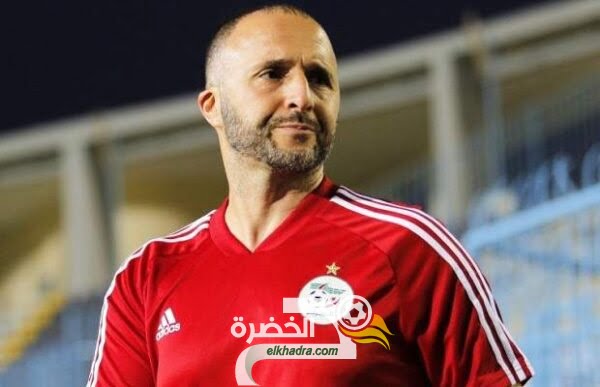 جمال بلماضي يخطط لتدعيم المنتخب الجزائري بهذه الأسماء ؟
