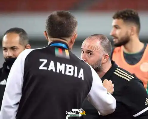 الفيفا تنصف بلماضي وتعد بحماية أبطال إفريقيا مستقبلا