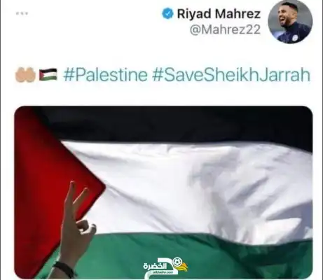 بالصور .. لاعبو المنتخب الجزائري يعلنون مساندتهم لفلسطين