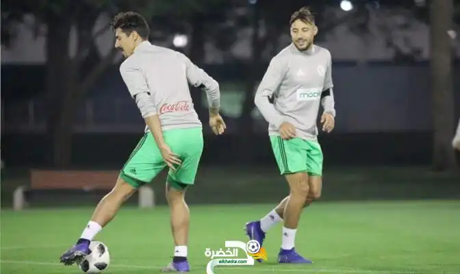 المنتخب الوطني : اللاعبون يلتحقون تباعا بتربص الخضر وعبر مجموعات