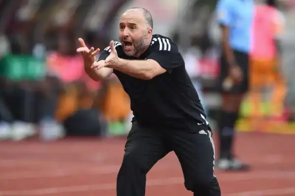 الجزائر – الكاميرون : كيف يتجاوز بلماضي عقبة الأسود غير المروضة ؟