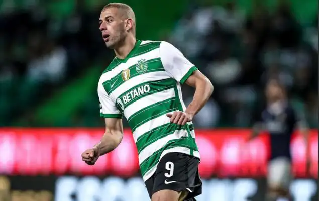 الهلال السعودي يتقدم بعرض رسمي لضم إسلام سليماني