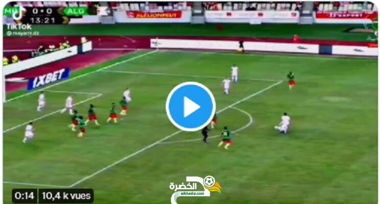 شاهد تدخل جمال بن عمري العالمي ضد الكاميرون يصنع الحدث