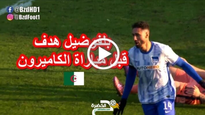 بالفيديو اسحاق بلفوضيل يتألق و يسجل هدف في مرمى فريقه السابق هووفنهايم