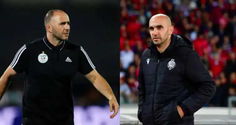 وليد الركراكي : “الجزائر تملك جمال بلماضي أفضل مدرب في إفريقيا”