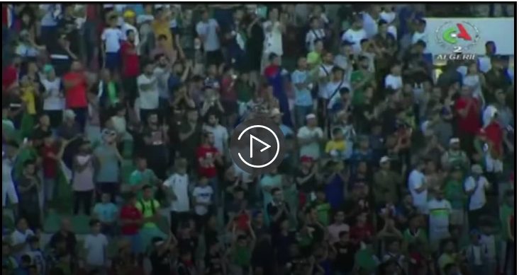 شاهد بالفيديو مشهد رائع للجماهير الجزائرية بعد نهاية المباراة رغم انهزام المنتخب الجزائري أمام المنتخب المغربي 4