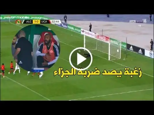 شاهد زغبة يصد ضربة الجزاء و ردة فعل الكوتش جمال بلماضي و مبولحي