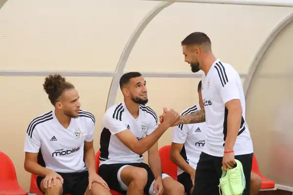 دولور جاهز لوديتي غينيا ونيجيريا