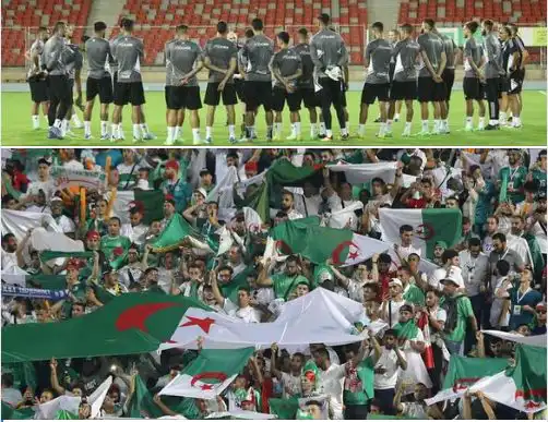 الجزائر – غينيا : نفاذ كل التذاكر التي تم وضعها للبيع عبر المنصة الإلكترونية تذكرتي