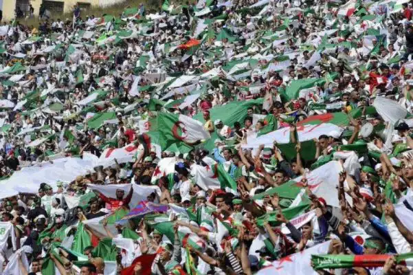 العديد من الملاعب الجزائرية تستجيب لمعايير الفيفا