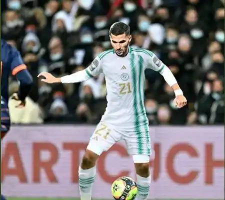 بلماضي يصر على مشاركة عوار في التربص المقبل للمنتخب الوطني