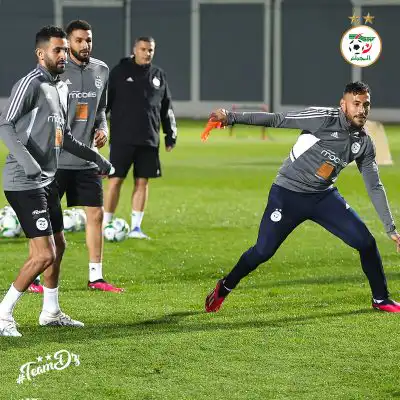صور تدريبات المنتخب الجزائري اليوم قبل التنقل لتونس