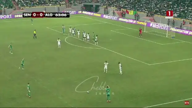 شاهد هدف شايبي الرائع للمنتخب الجزائري ضد السنغال اليوم