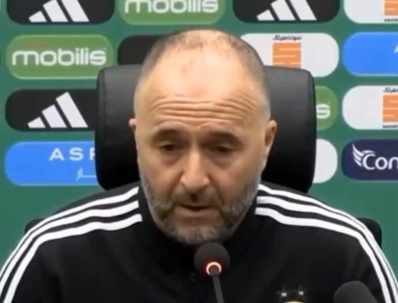 شاهد .. ماقاله جمال بلماضي حول جاهزية حسام عوار و إسماعيل بناصر لكأس إفريقيا 2024