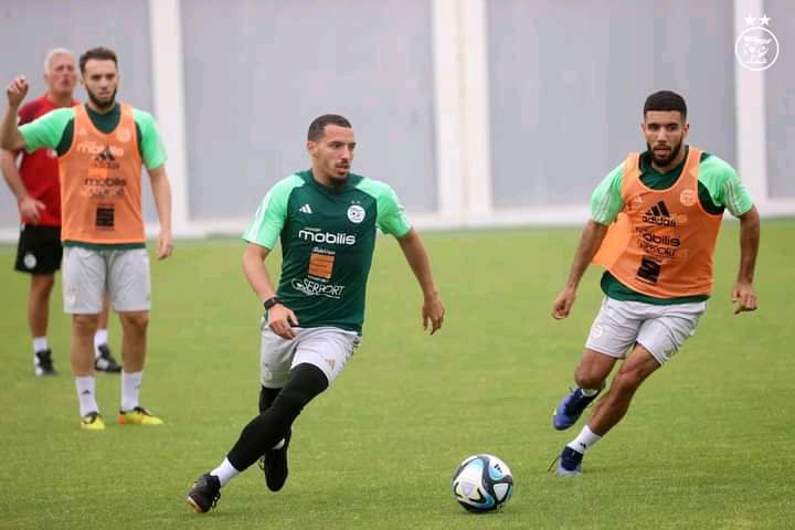 المنتخب الجزائري يستأنف تدريباته تحسبا لمواجهة أوغندا