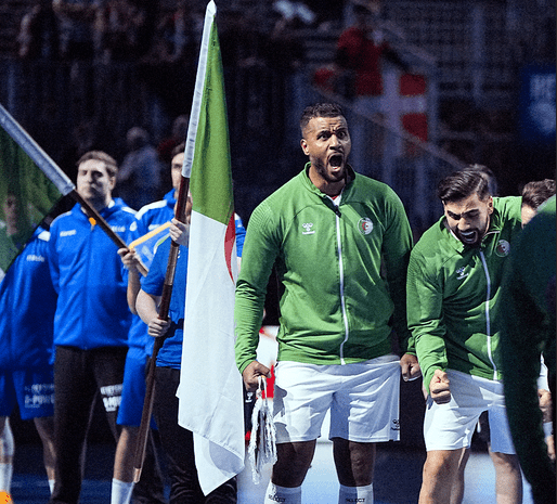 منتخب الجزائر لكرة اليد يفوز على غينيا 32-23