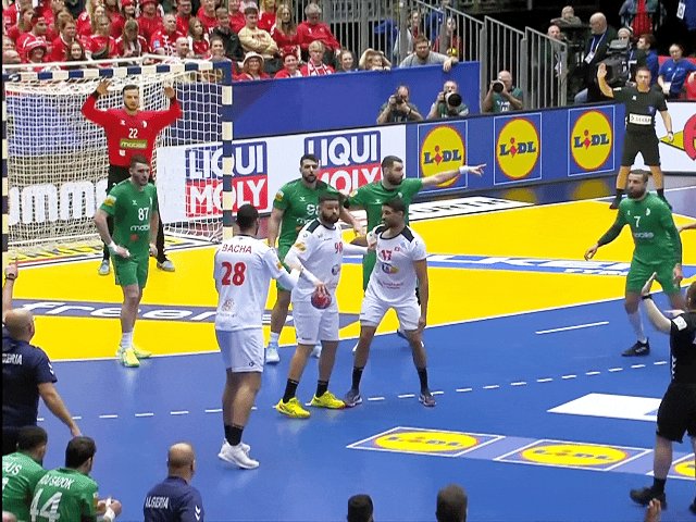 كأس العالم لكرة اليد : المنتخب الجزائري يخيب الأمال ويخرج من دور المجموعة