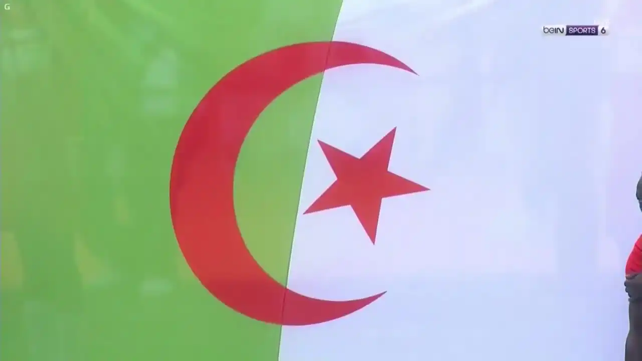 ملخص مباراة الجزائر وجنوب افريقيا اليوم