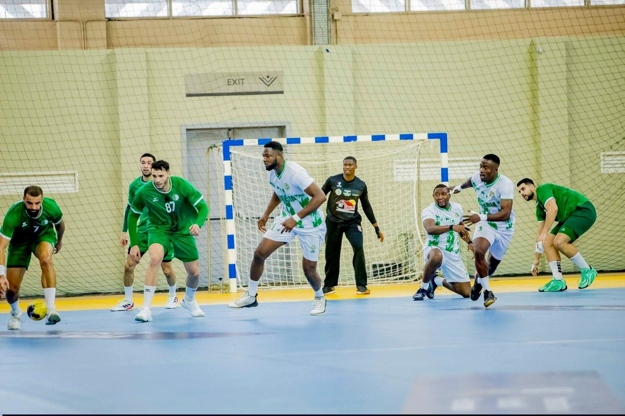 مفاجأه .. منتخب الجزائر ينهزم امام نيجريا بنتيجة 25/23 فى بطولة افريقيا لكرة اليد