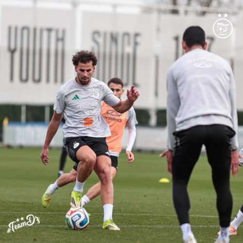 HEhZwuSagAAraGd scaled